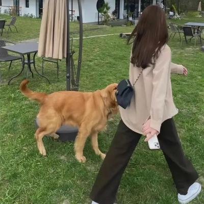 次要灾难